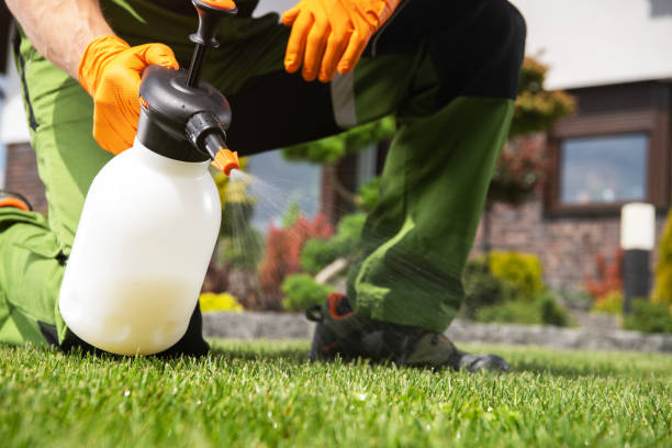 Best Exterminator Services  in Riverton, NJ