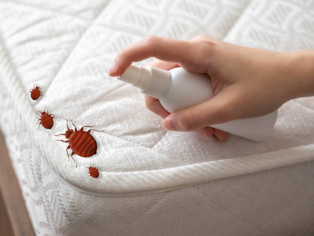 Best Affordable Pest Control Services  in Riverton, NJ